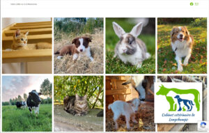 Lire la suite à propos de l’article Nouveau site web pour le cabinet vétérinaire de Longchamps